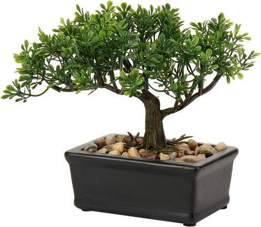 Artificial Bonsai Tree - Ficus