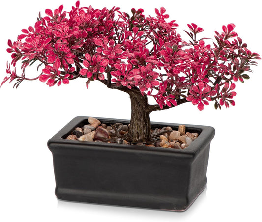 Artificial Bonsai Tree - Pink Ficus